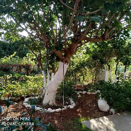 Nona's * Каравомилос